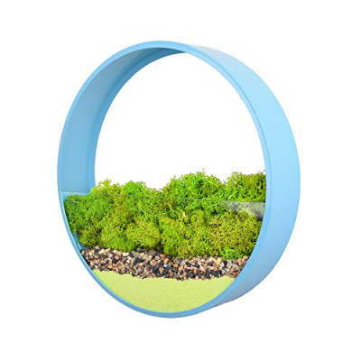 Suculentas y Cactus Artificiales Naturales,Interior Mini Plantas y flores artificiales Falsa Plástico Bonsái en Macetas,Cristal Terrario Maceteros Jarrones Decorativos para Dormitorio y Sala de Estar