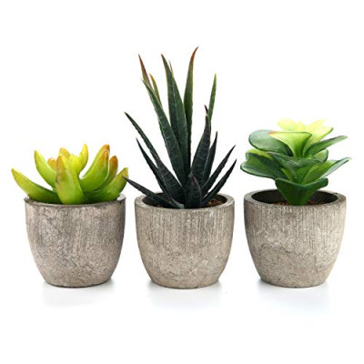 T4U – Artificial Serie de Plantas Suculentas Hierba Decorativa de Plástico Colección 2, Paquete de 3